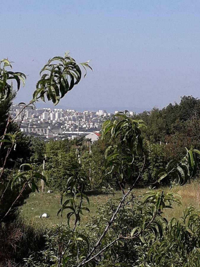 M&M Pelivan Apartments Solin Dış mekan fotoğraf
